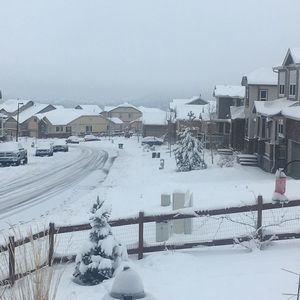 Meet your Posher, Piper